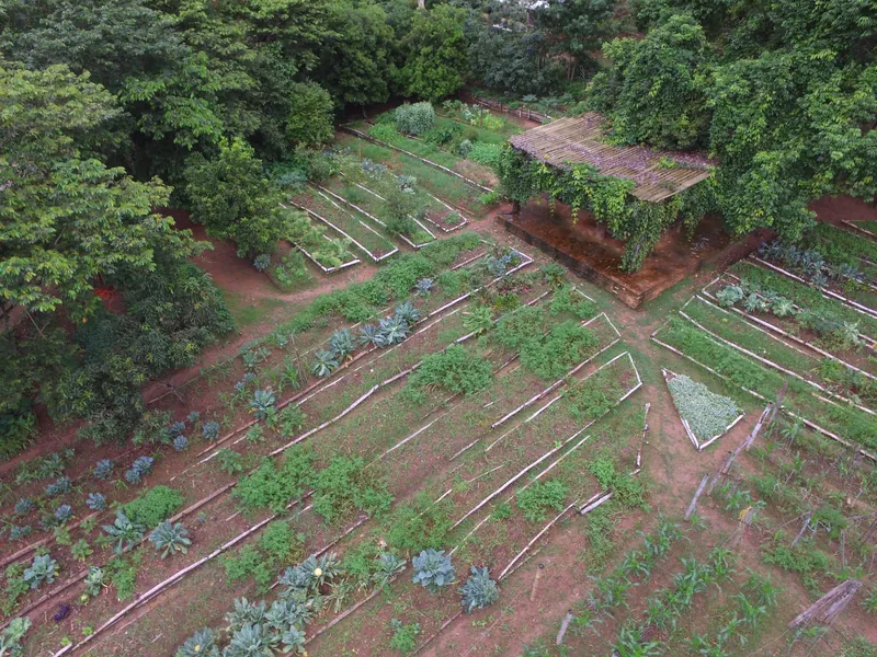 Restauraci&oacute;n ambiental